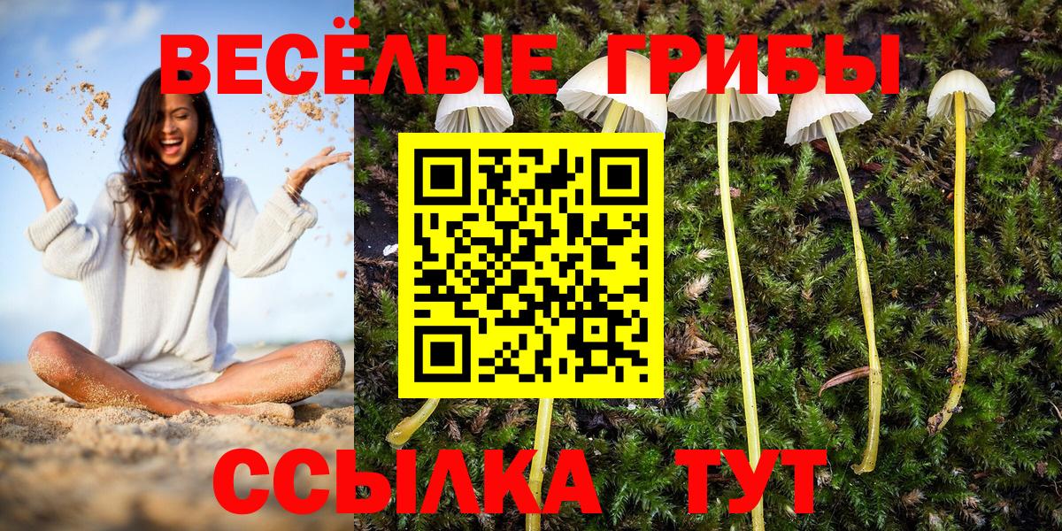 Галлюциногенные грибы MAGIC MUSHROOMS  Вход с VPN  Лесосибирск 
